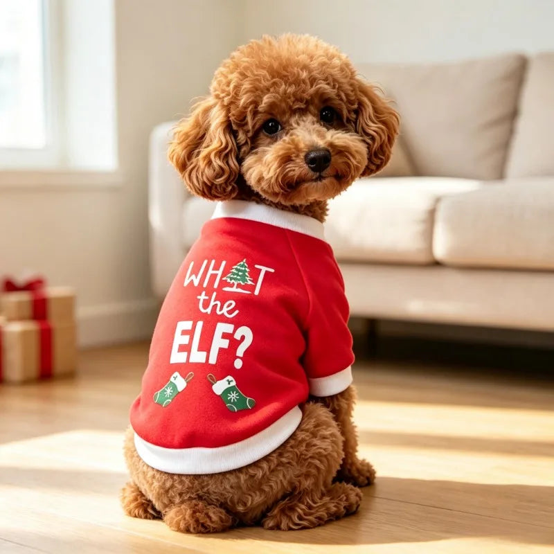 Christmas Print Pet Sweatshirt
