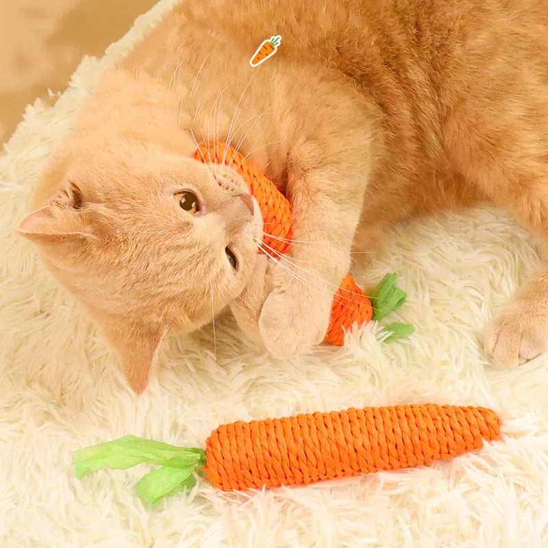 Chew Toy for Bunnies & Guinea Pigs