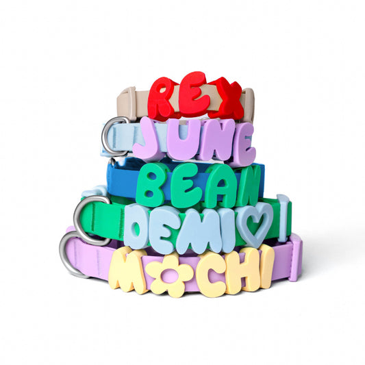 Personalized silicone dog pendant