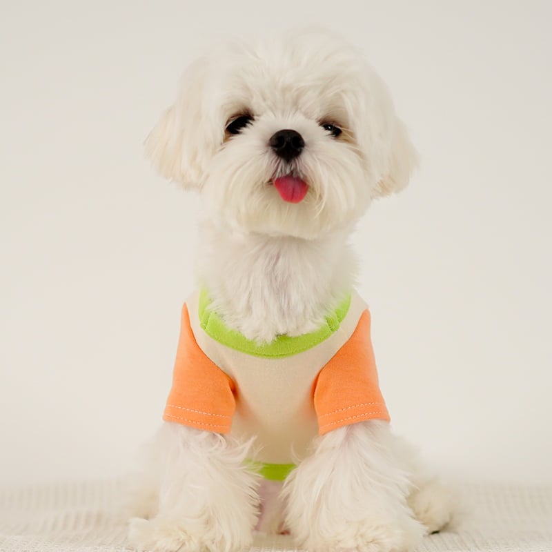 Colour block dog shirt - view 2