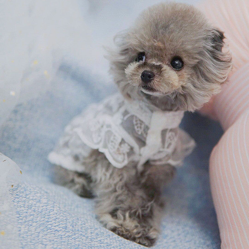Lace sun protection pet dress - view 5