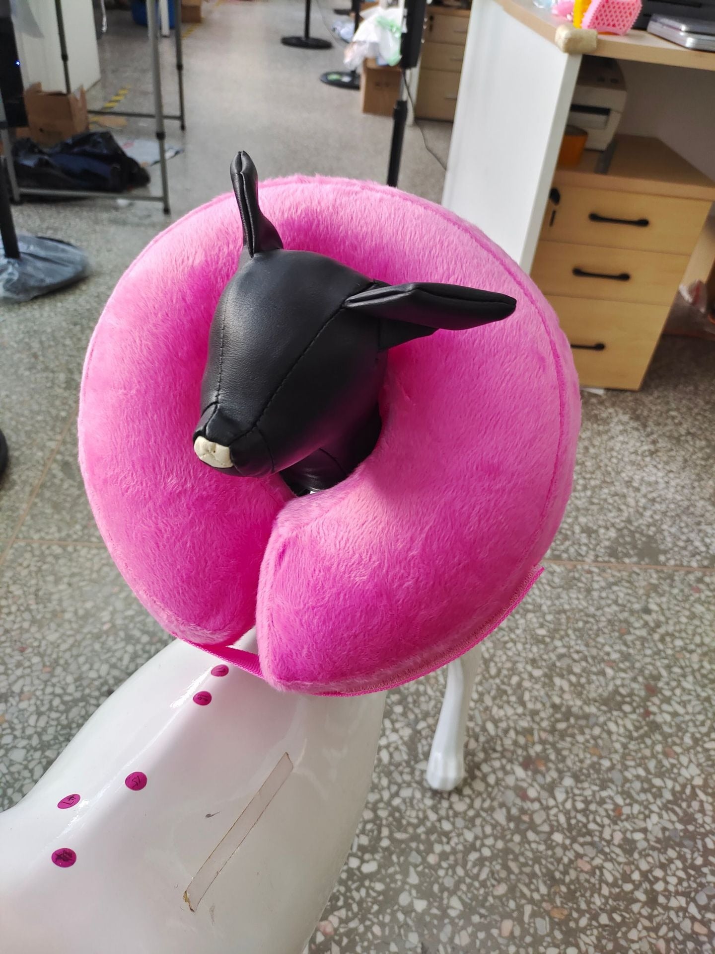 inflatable pet collar