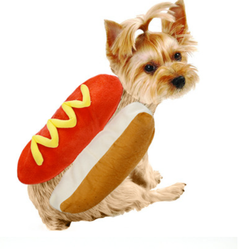 Hot dog burger pet costume - view 5