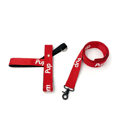 Cute Red Collar for Small and Medium Dogs