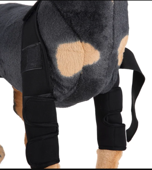 Dog knee brace leg protector by The Pet Hub Co