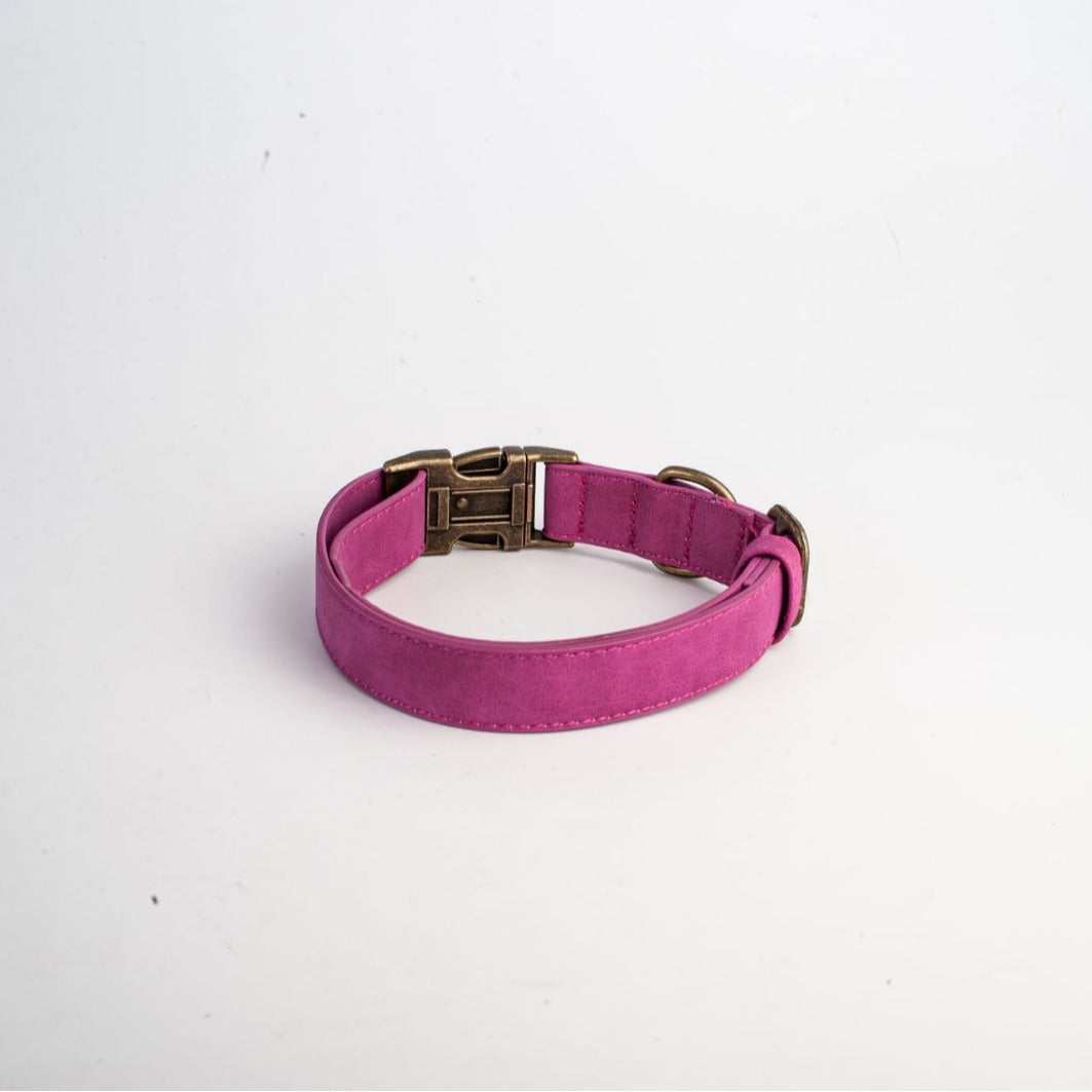 Personalized Leather Dog Collar