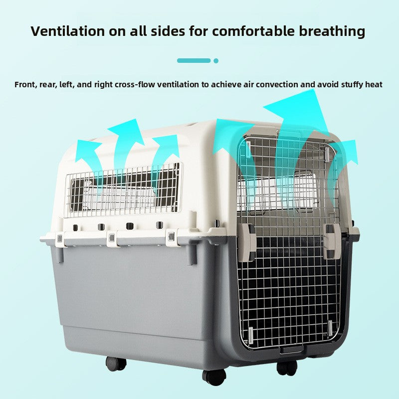 lightweight portable dog carrier