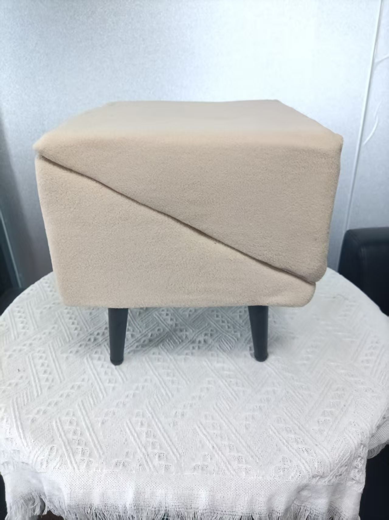 Dual-Purpose Dog Ramp