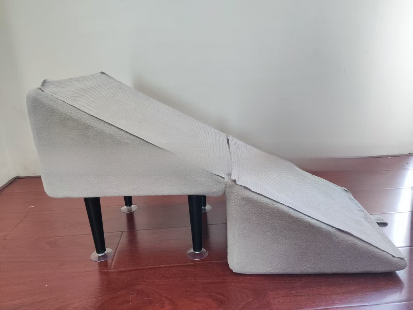 Dual-Purpose Dog Ramp