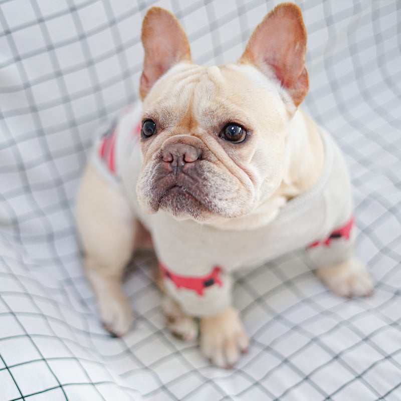 French Bulldog and Pug T-shirt by The Pet Hub Co