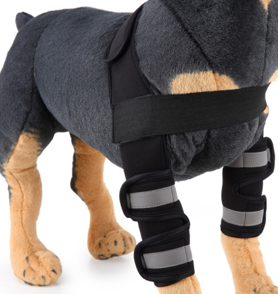 Dog knee brace leg protector - view 2