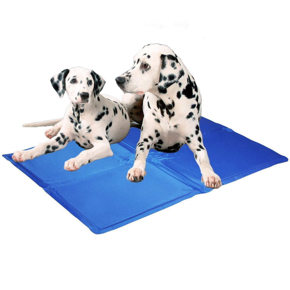 Dog cooling mat by The Pet Hub Co